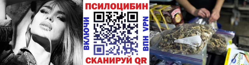Галлюциногенные грибы Psilocybine cubensis  Купить где  Санкт-Петербург 